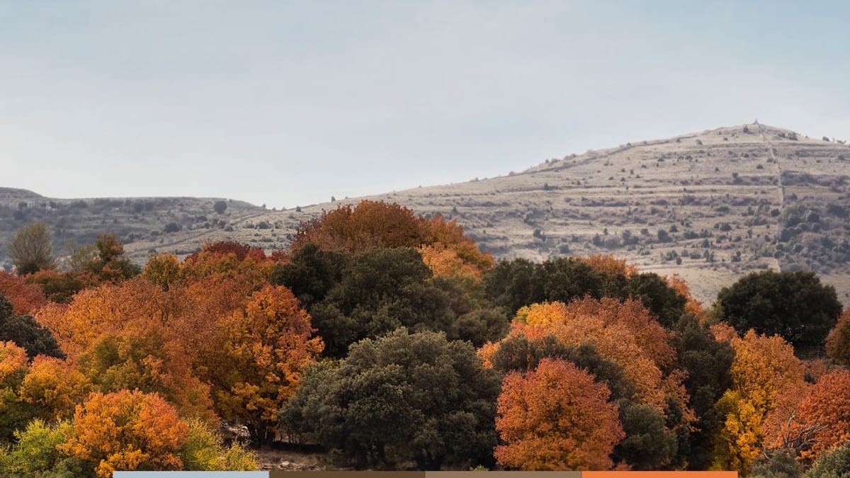 Paisaje otoñal con colores cálidos en la provincia de Castellón