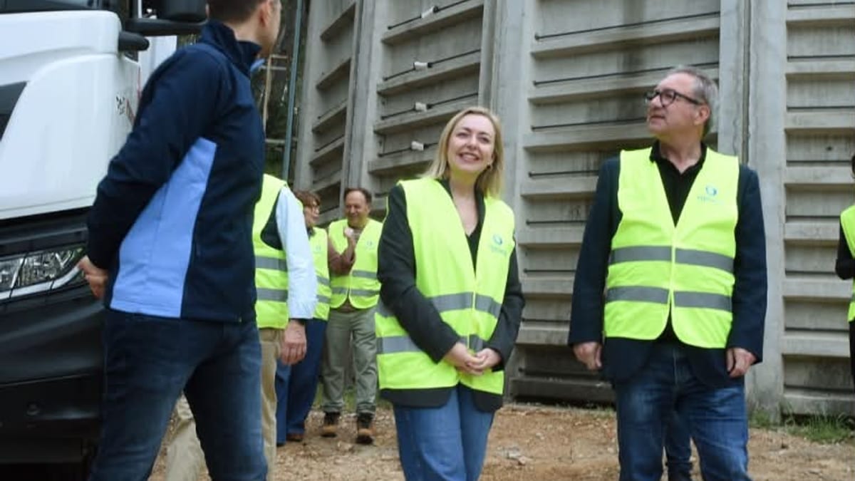 Trabajadores con equipos de seguridad durante las obras de reparación del depósito de agua potable de Atzeneta