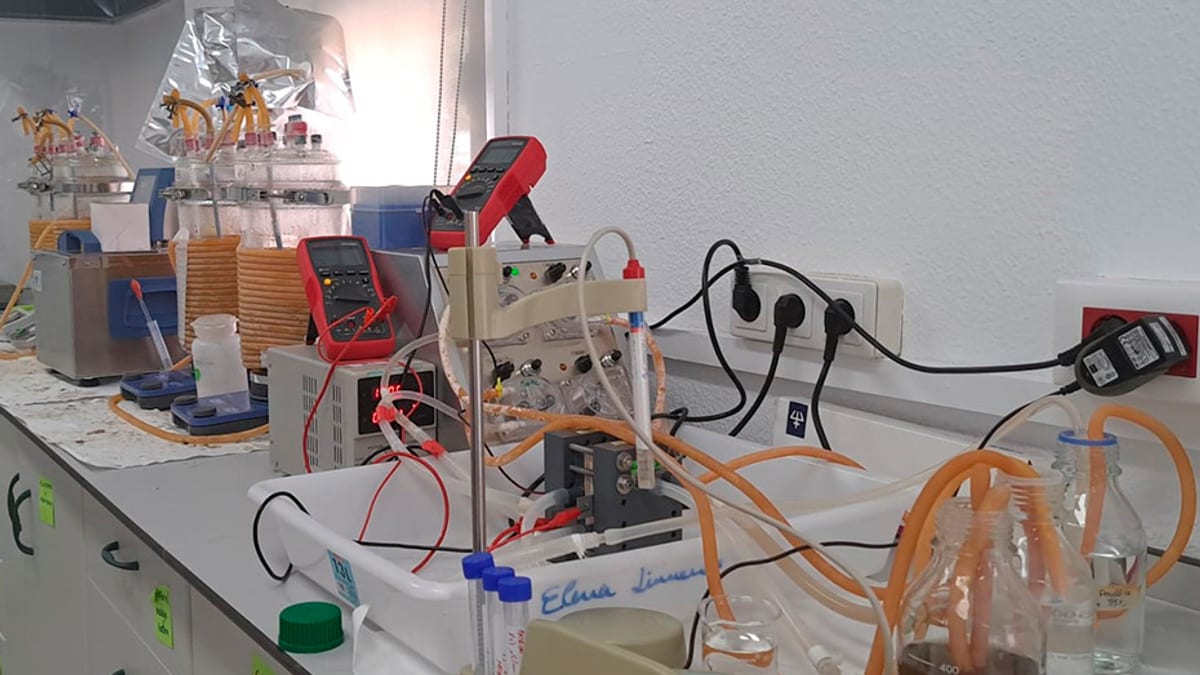 Investigación sobre extracción de ácidos grasos del alperujo mediante procedimientos eléctricos en laboratorio andaluz