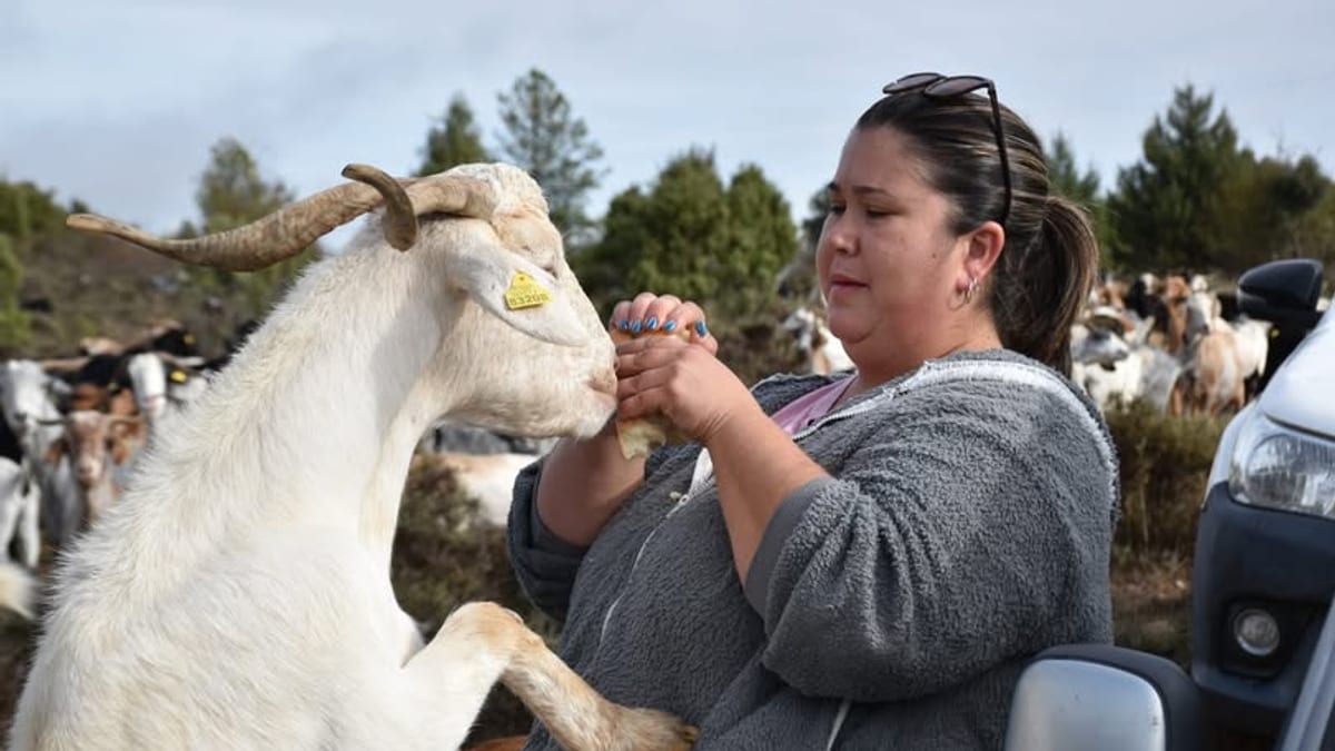 Diputación de Cuenca acompaña a emprendedoras rurales en visita a proyectos en pueblos de la provincia