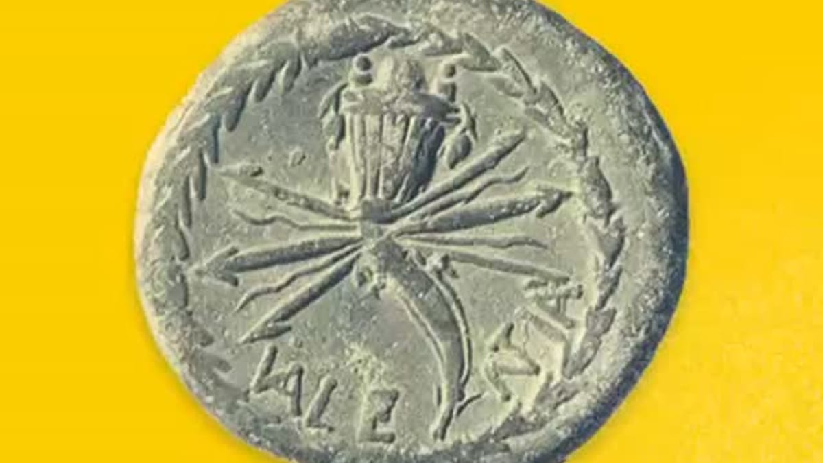 Infografía sobre la evolución histórica del escudo de Valencia mostrando sus elementos heráldicos: ciudad fortificada, armas reales, corona, eles, rata penada y laurel
