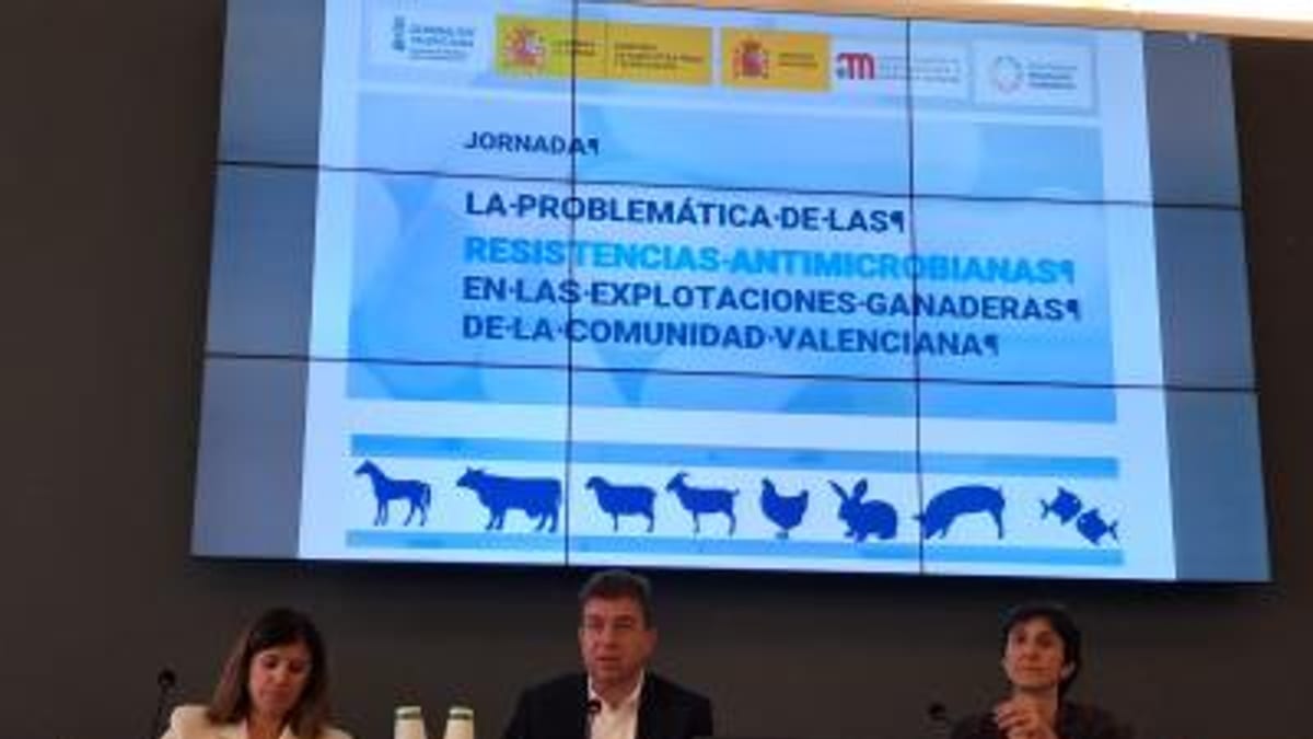 Cartel de la jornada sobre resistencias antimicrobianas en explotaciones ganaderas de la Comunidad Valenciana, con siluetas de animales de granja