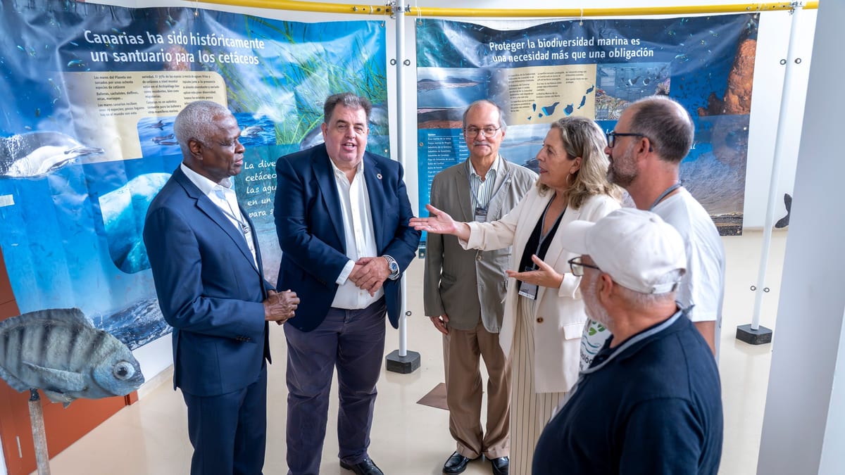 Encuentro Internacional de especialistas en biodiversidad marina y cambio climático en Fuerteventura