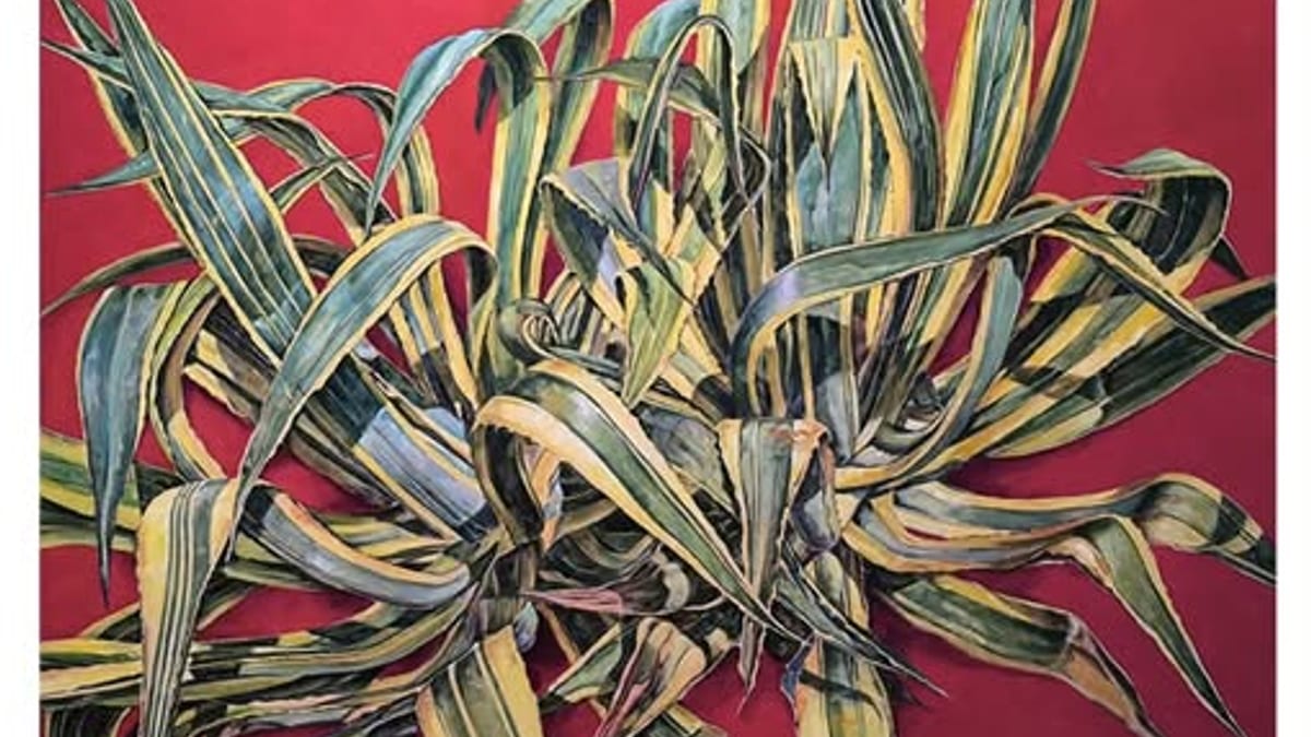 Cartel de la exposición Naturalezas de Juan Fernández en el Auditorio Municipal de Arroyomolinos