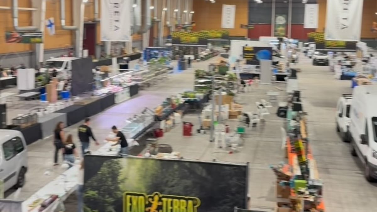 Cartel promocional de Expoterraria y Expoaquaria en Talavera Ferial