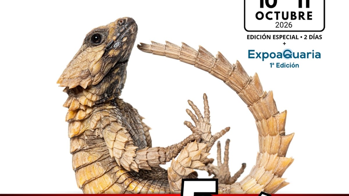 Cartel de la 73ª Expoterraria de Talavera de la Reina, anunciando el evento para los días 10 y 11 de octubre de 2026 con la primera edición de ExpoAquaria