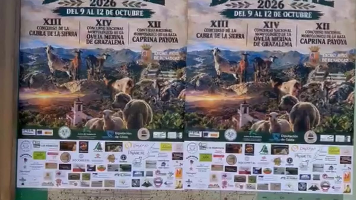 Más de 300 ejemplares de ganado participan en la XIII Feria Ganadera de Benaocaz
