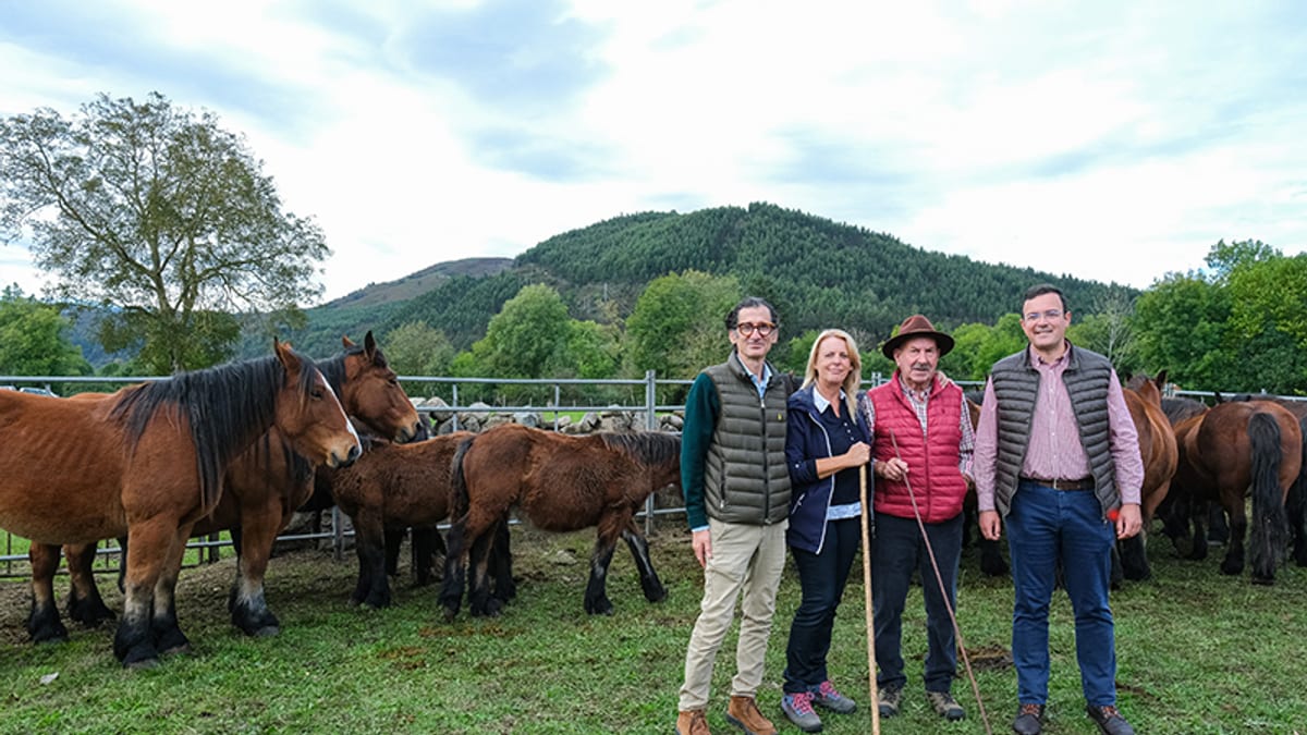 Vista de la feria ganadera tradicional de Ruente con productores y animales