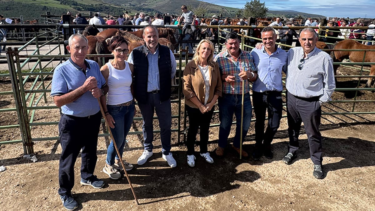 Consejeros de Cantabria recorren la Feria de Ganado Equino de San Pedro del Romeral con 470 animales de 84 ganaderías