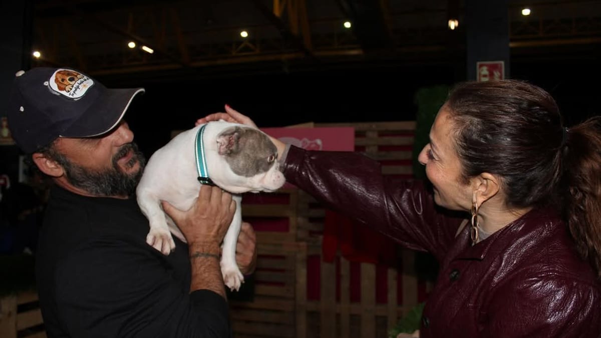 Logo y promoción de la II Feria Nacional de Adopciones 'Adopta un Pana' en Albacete