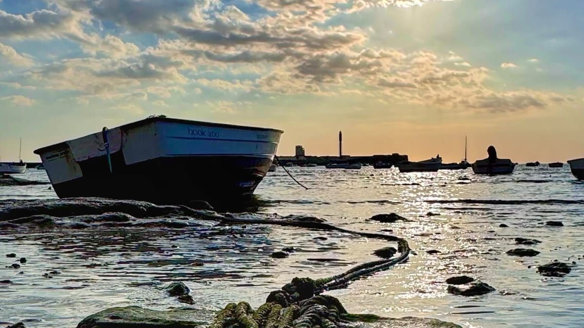 Panorámica de la bahía de Cádiz durante el día mostrando el paisaje urbano y el entorno costero