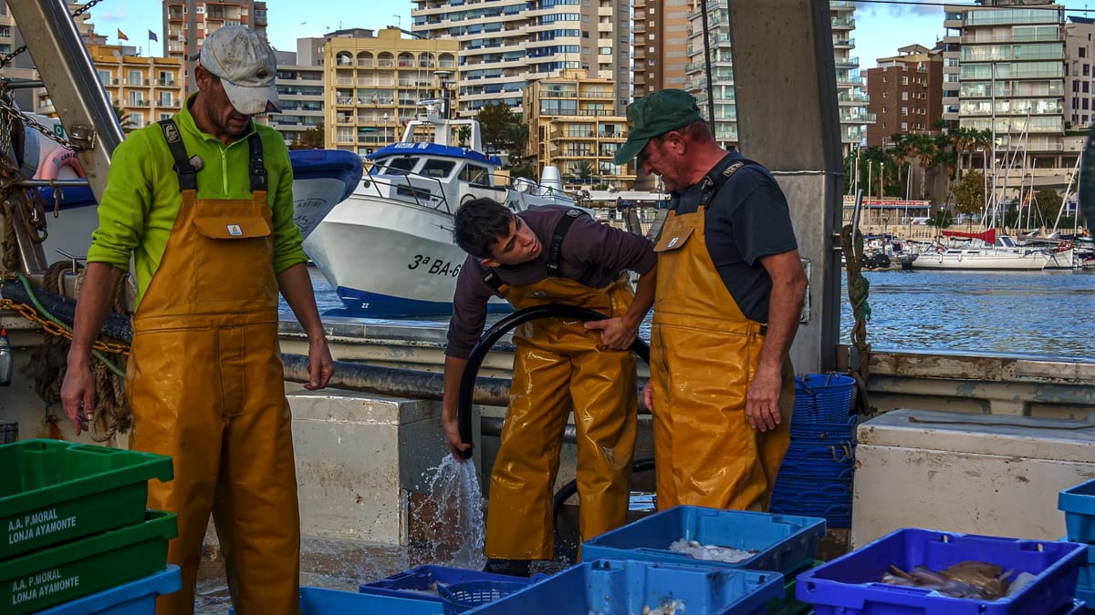 Barcos de pesca en el puerto, representando la flota pesquera valenciana que recibe ayudas por paradas biológicas