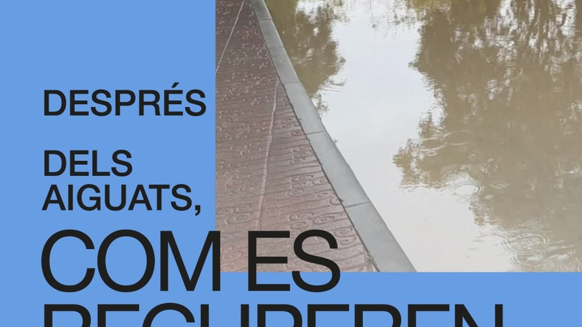 Cartel de la Generalitat sobre convocatoria de ayudas para recuperación tras lluvias torrenciales