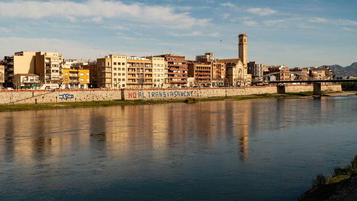 Operación de limpieza de cañas en el río Magro en las localidades de Alfarb y Llombai