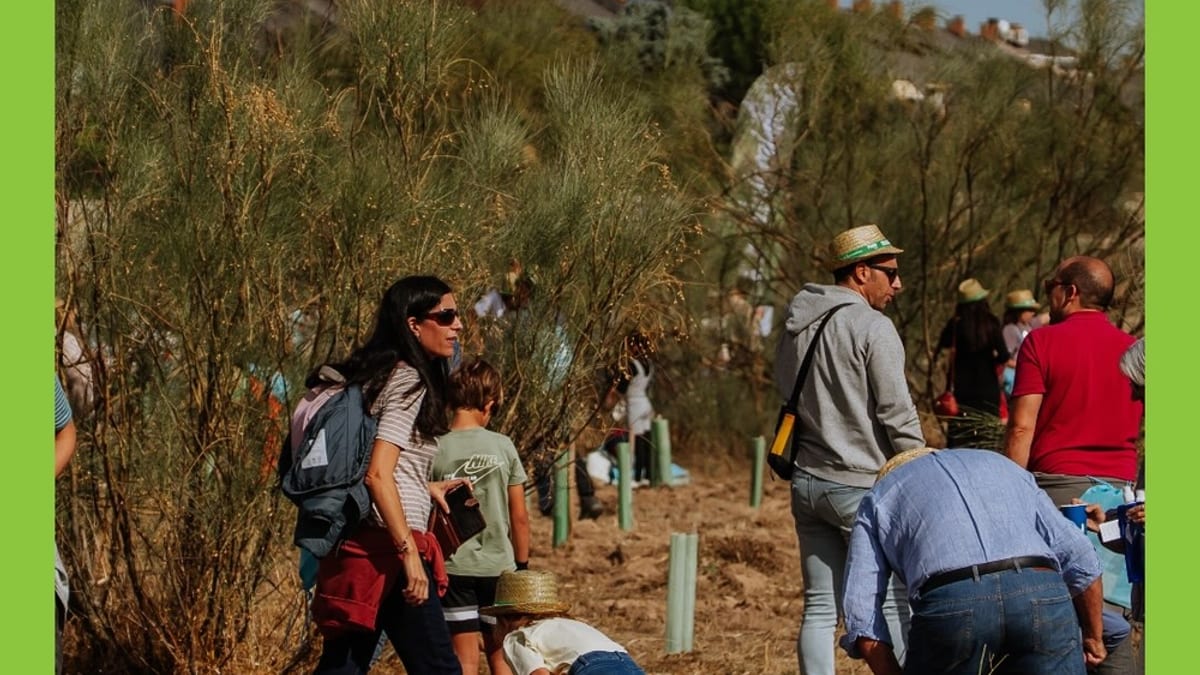 Participantes en la Gran Plantación Familiar de Las Rozas durante la jornada de reforestación