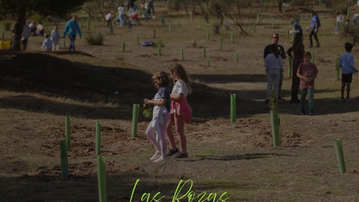Cartel de la Gran Plantación Familiar de Las Rozas del 24 de octubre en Las Matas