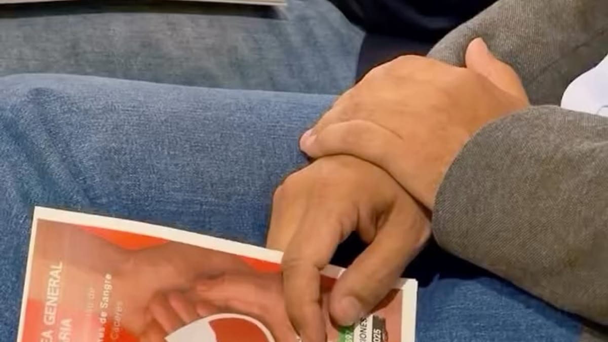 Asamblea anual de la Hermandad de Donantes de Sangre de Cáceres