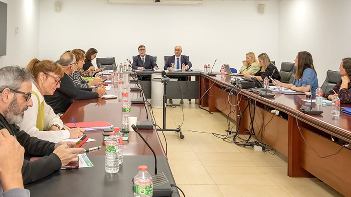 Reunión del Consejo Rector del ICAP en una sala de conferencias