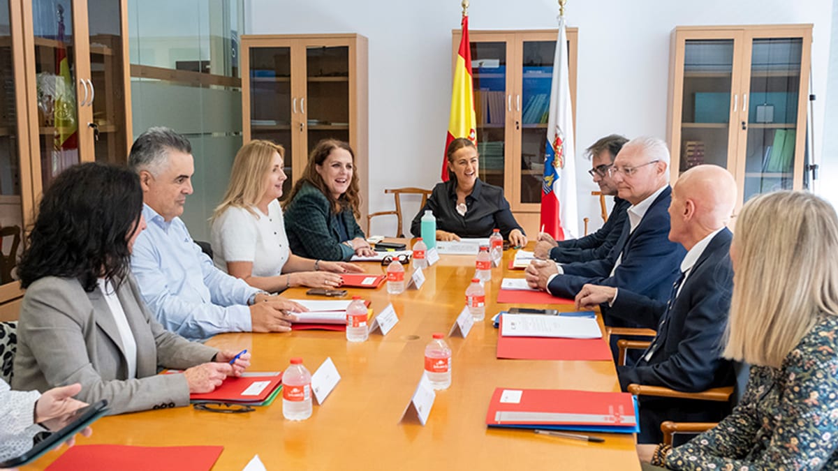 Reunión del Consejo General del ICASS en sala de conferencias con banderas españolas