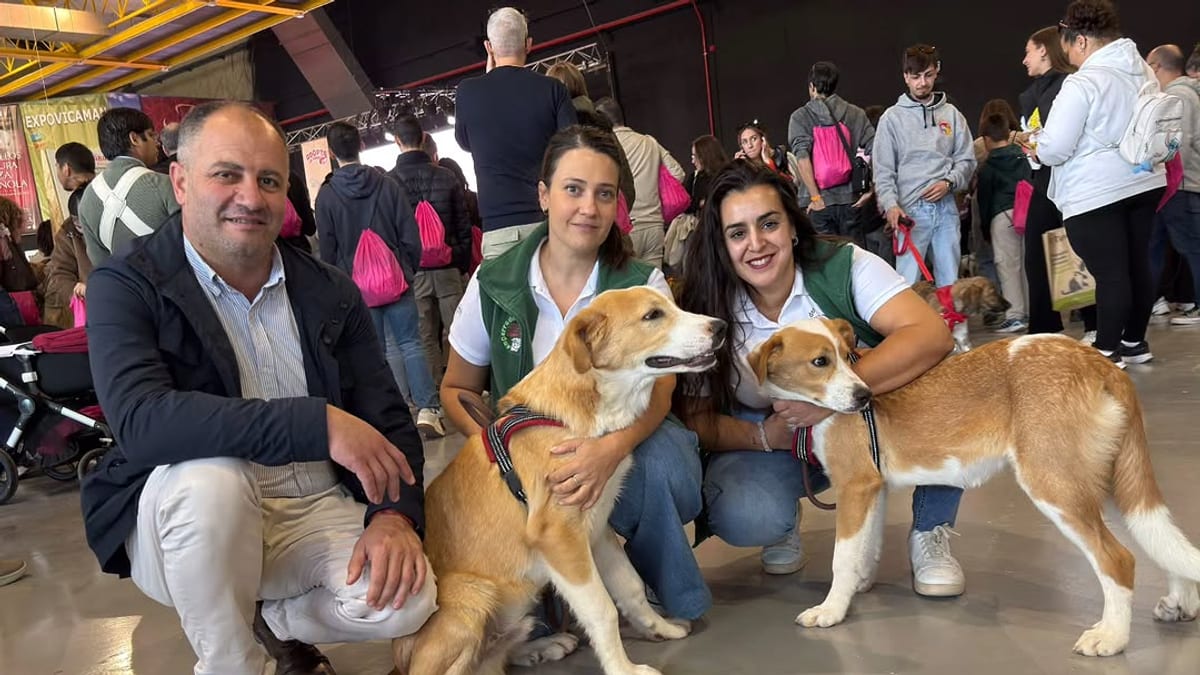 Personas posando con dos perros Labrador Retriever en la II Feria Nacional de Adopciones de la IFAB en Albacete