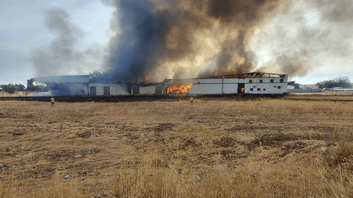 Operativos de emergencia trabajando en la extinción del incendio en la nave abandonada de Palma del Río