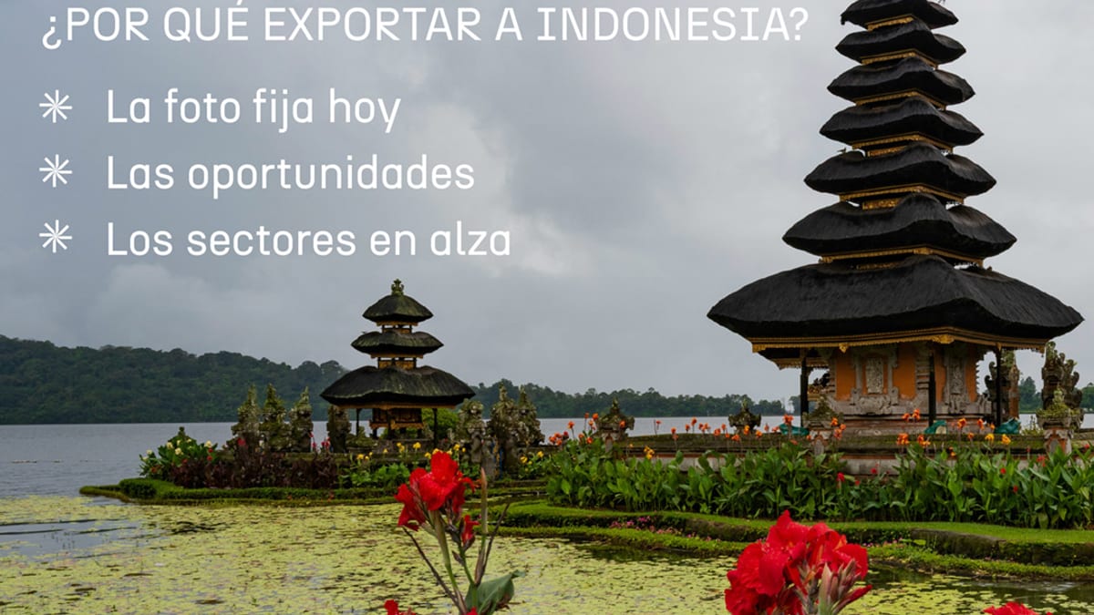 Infografía de ICEX sobre exportaciones a Indonesia: oportunidades por sectores, datos económicos y crecimiento anual