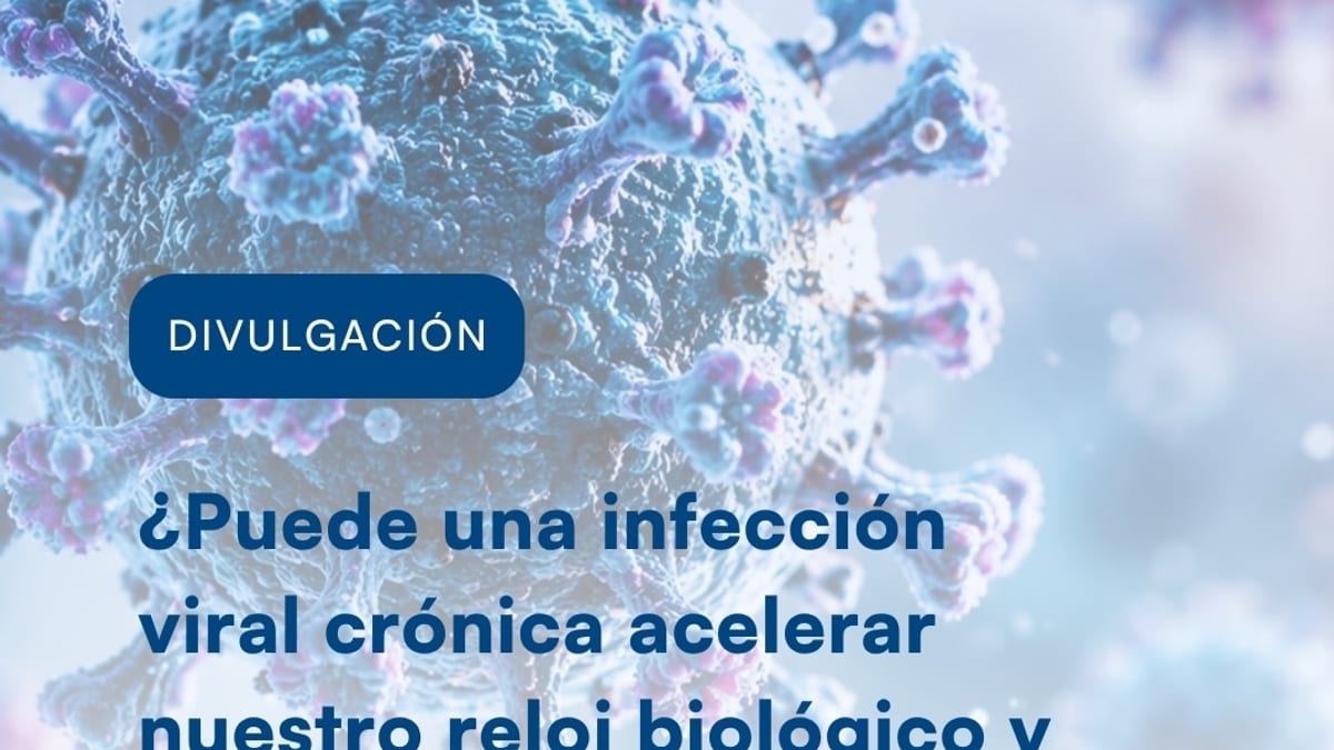 Infografía sobre cómo las infecciones virales crónicas aceleran el envejecimiento biológico y afectan al sistema inmunitario