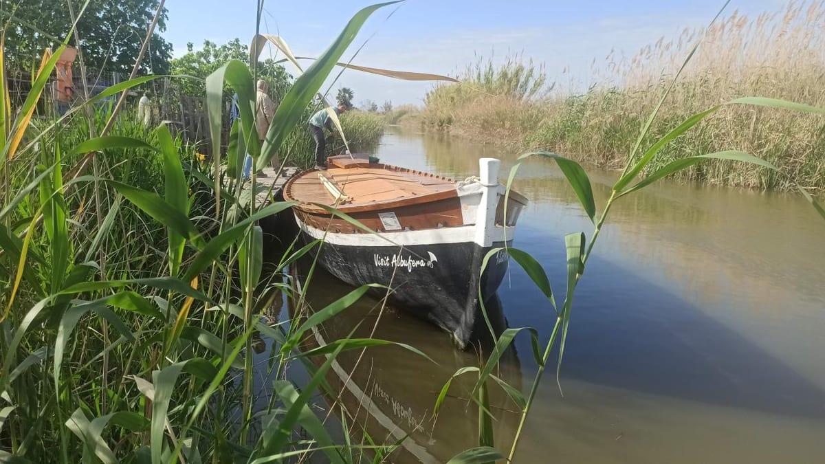 Barcas tradicionales electrificadas en el Parc Natural de l'Albufera con sistemas de propulsión eléctrica