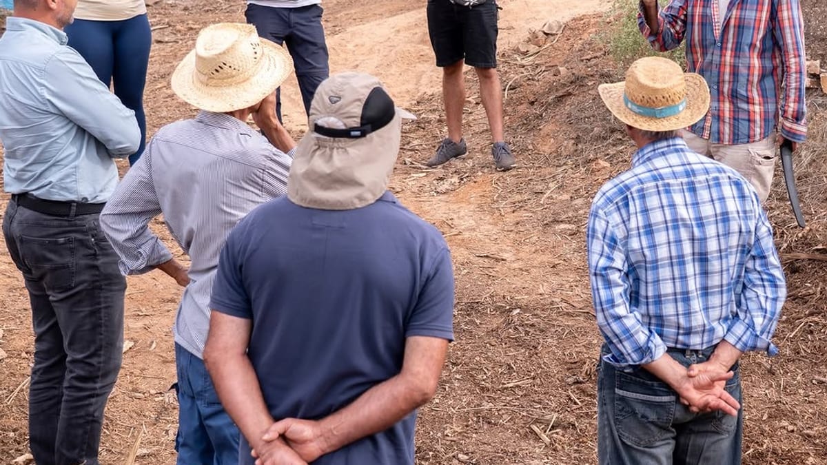 Participantes en las jornadas Arrimando el Hombro en la parcela demostrativa de Virama, Valle de Santa Inés