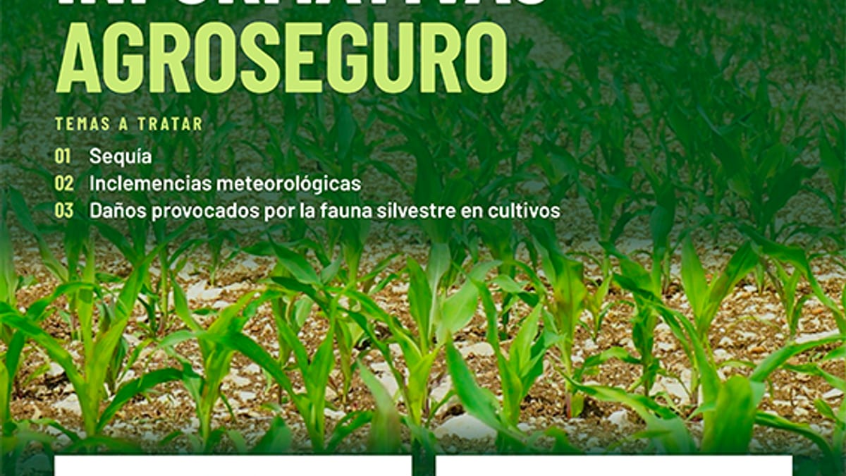 Cartel informativo de jornadas Agroseguro sobre pólizas agrícolas frente a sequía e inclemencias meteorológicas, organizadas por la Consejería de Desarrollo Rural de Cantabria
