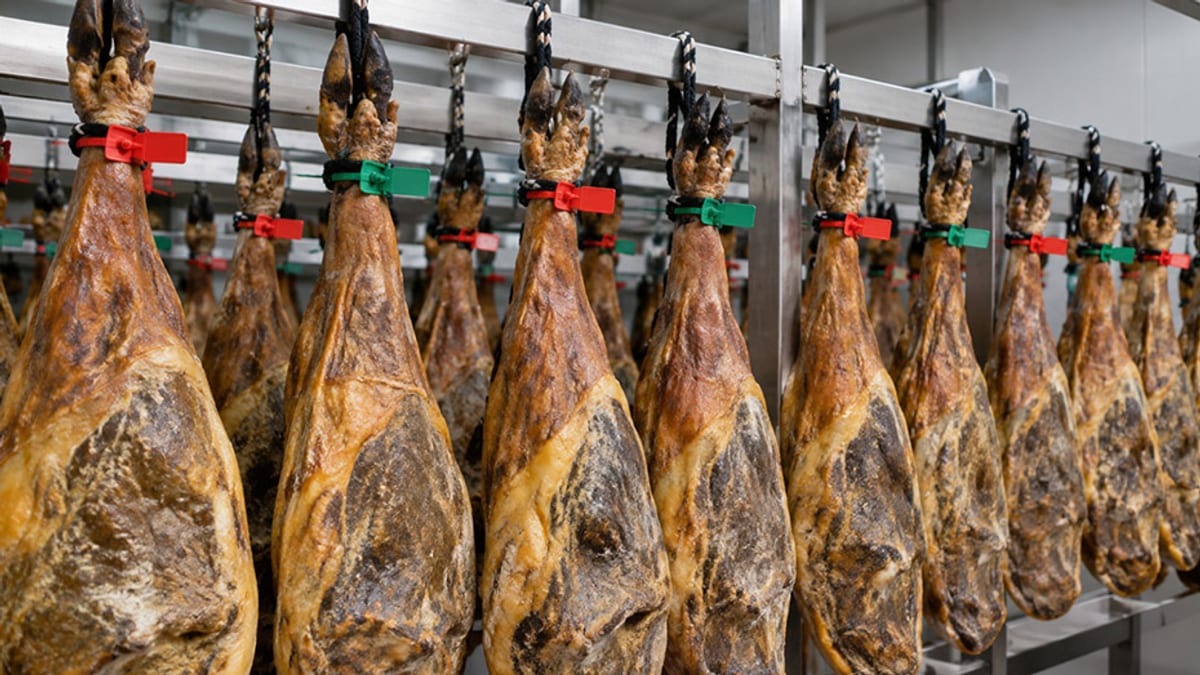 Jamones ibéricos curados colgados en una fila con etiquetas de colores para identificación y control de calidad