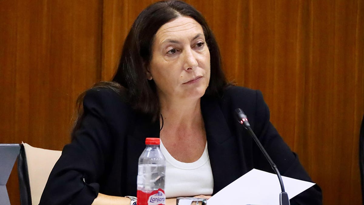 Loles López interviene en comisión parlamentaria de la Junta de Andalucía