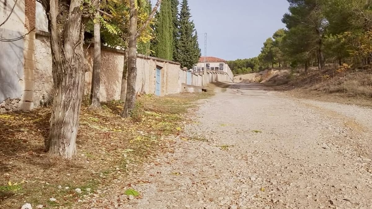 Intervención de limpieza y desbrozado del cementerio municipal de Cuenca y acceso preparados para Todos Los Santos