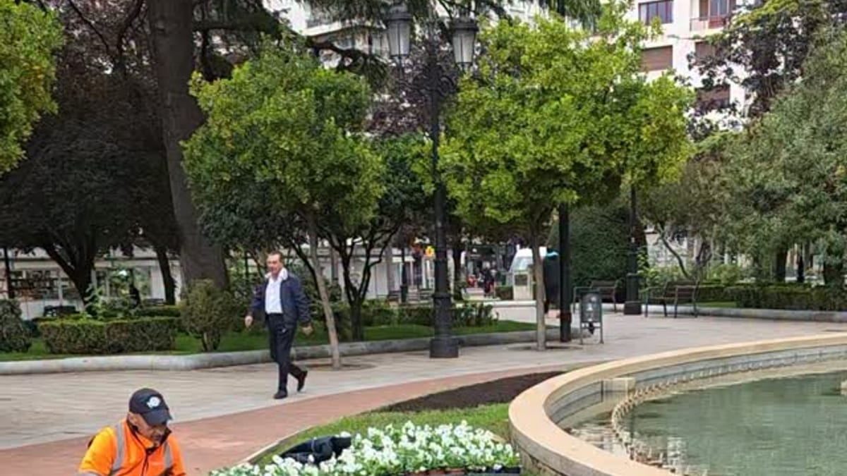 Profesionales de LogroñoVerde realizando plantaciones en los parterres del Paseo del Espolón de Logroño durante la campaña de invierno
