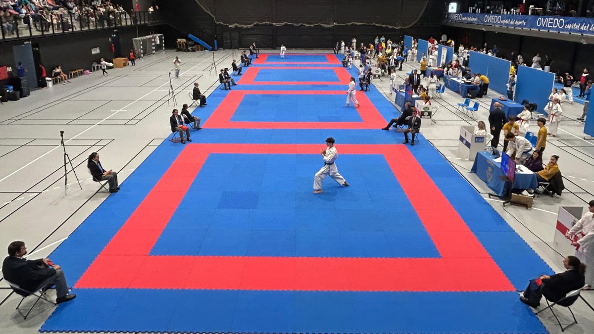 Concepción Méndez Suárez, tercera teniente de alcalde y concejala de Deportes de Oviedo, recibe la Medalla de Oro de la Federación Asturiana de Karate