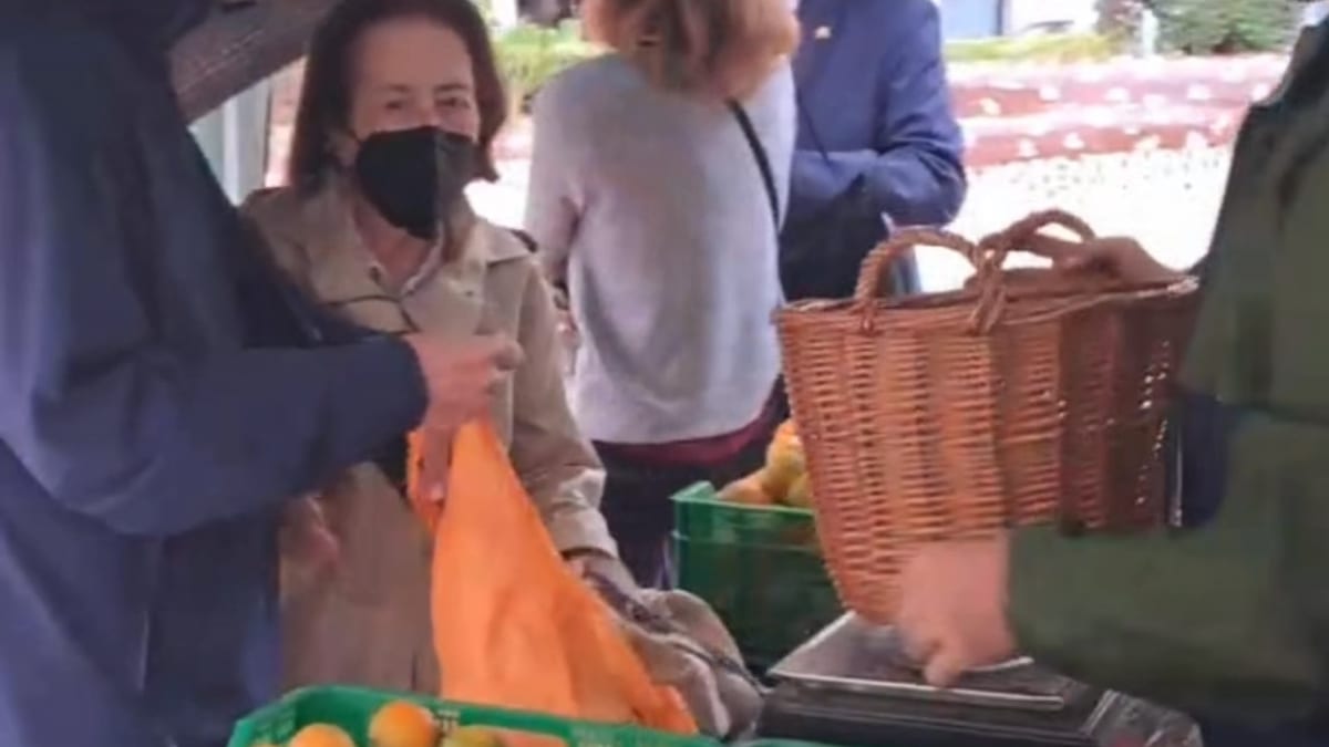 Puestos del Mercat de la Taronja con cítricos locales bajo la lluvia en plazas de Castellón