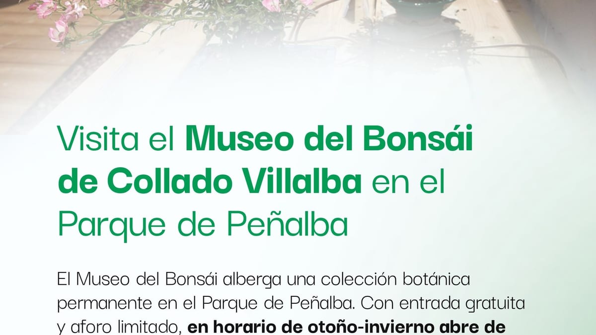 Visitantes observan la colección de bonsáis en el Museo del Bonsái de Collado Villalba, ubicado en el Parque de Peñalba