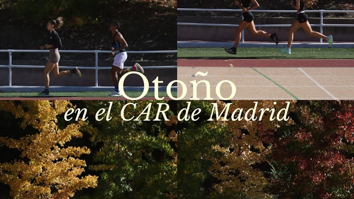 Paisaje otoñal del Centro de Alto Rendimiento de Madrid con árboles teñidos de marrón y hojas en el suelo, reflejando la estación de otoño