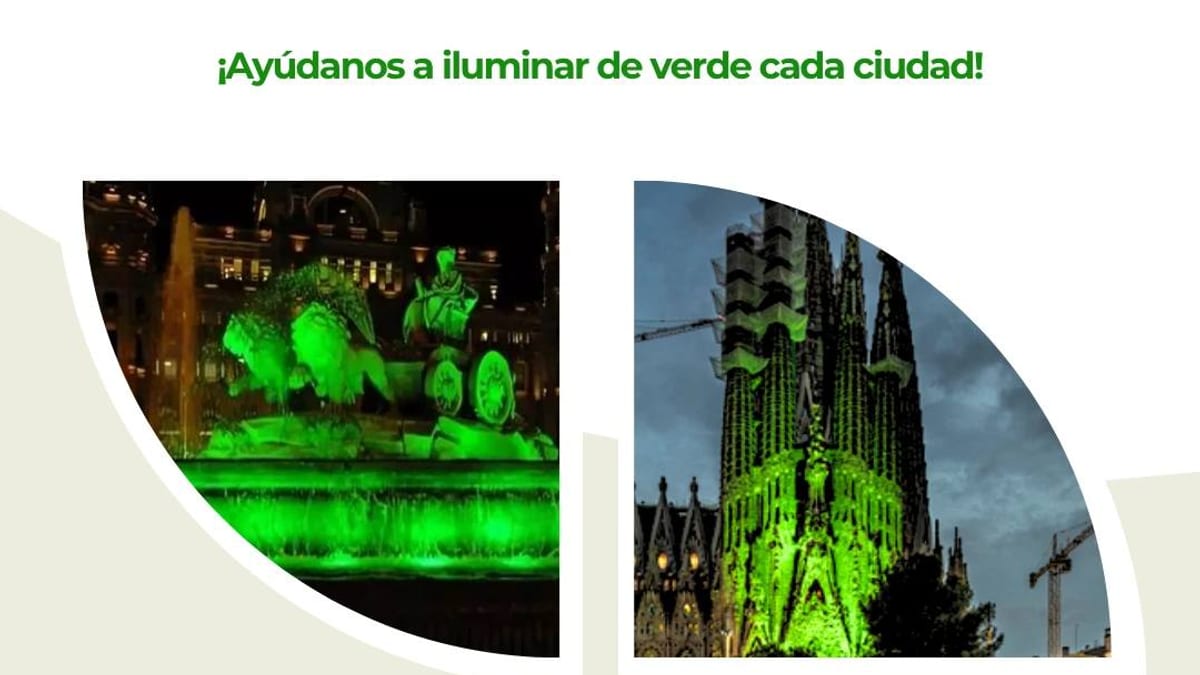 Campaña de concienciación del Síndrome de Phelan-McDermid con iluminación verde en monumentos de Oviedo