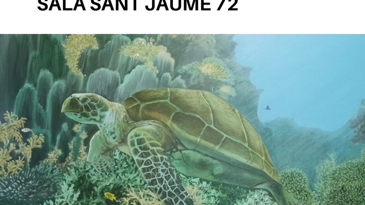 Cartel promocional de la exposición Paisajes del mundo. Luz y color en la Sala Sant Jaume 72 de Santa Eulalia des Riu