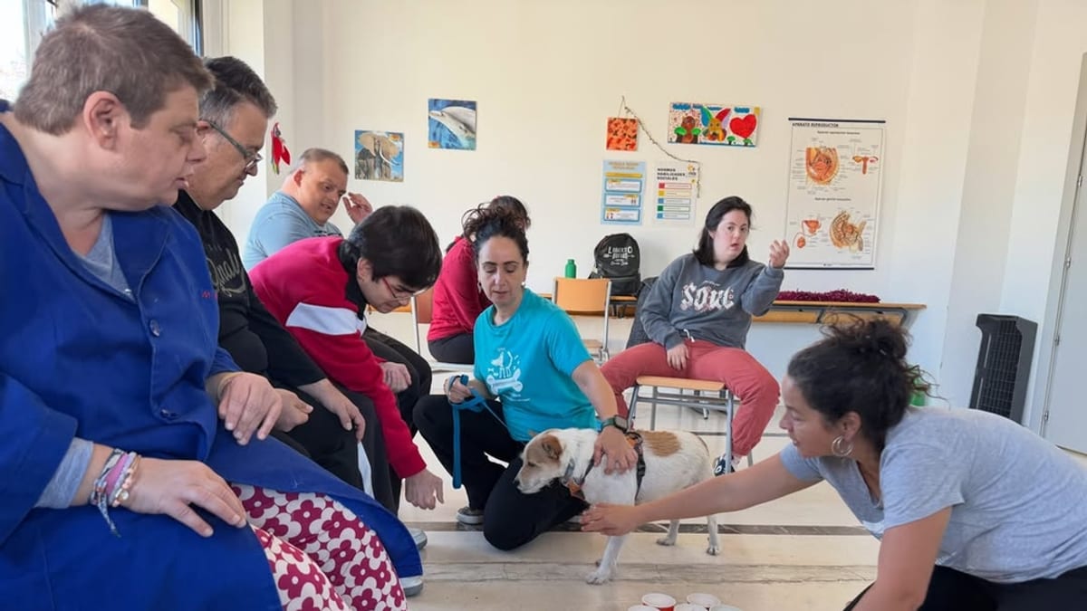 Actividad de terapia asistida con perros en el Centro Ocupacional Marcelino Camacho de Fundación AMÁS en Fuenlabrada