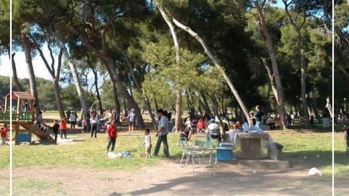Entrada del Pinar del Grau en Castelló con acceso reabierto tras las comprobaciones tras el temporal