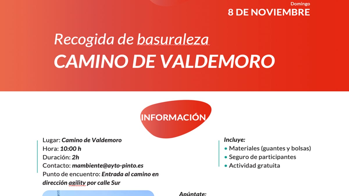 Cartel de la jornada Basuraleza en Pinto del 8 de noviembre con información sobre la recogida de basura en el Camino de Valdemoro
