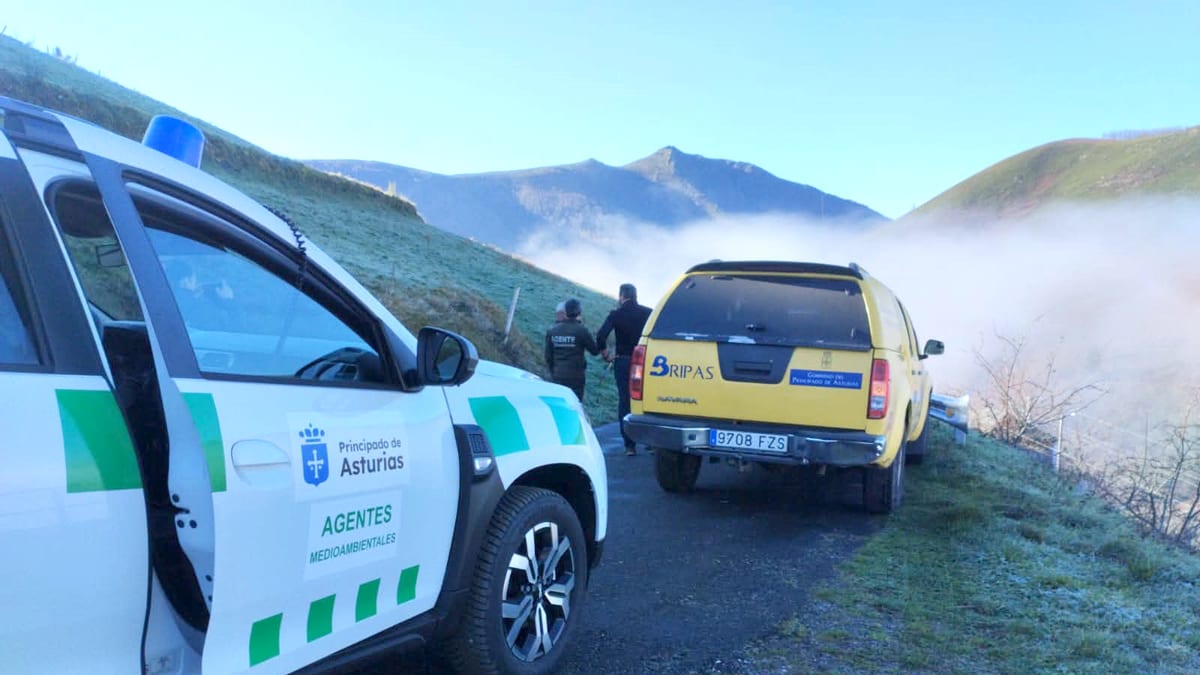 Agentes medioambientales y brigada de refuerzo en incendios forestales de Asturias durante labores de prevención