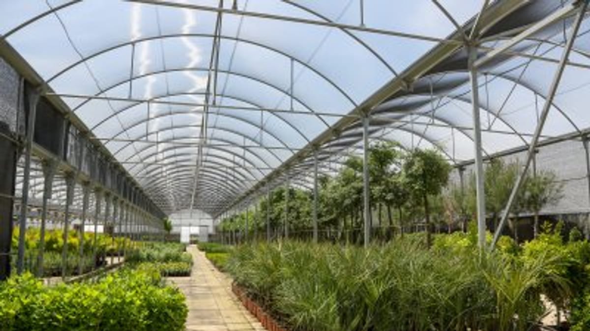 Plantas y flores del Vivero Provincial de la Diputación de Badajoz disponibles para municipios