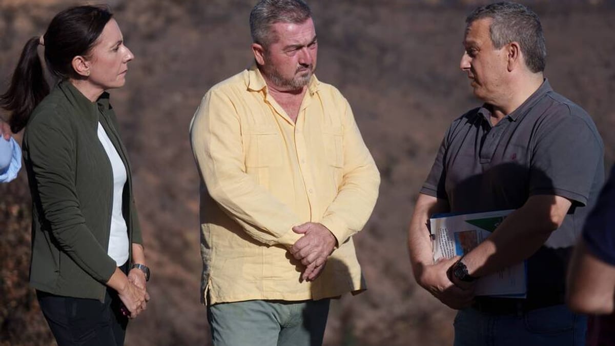 Plantones para regeneración de Doñana facilitados por la Junta de Andalucía