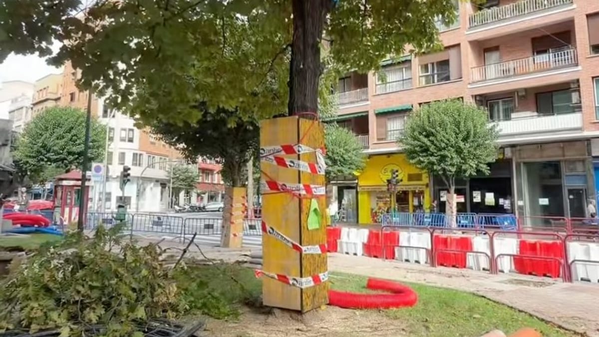 Obras en progreso en la Plaza Donantes de Sangre de Logroño con barreras de seguridad, arbolado y edificios residenciales al fondo