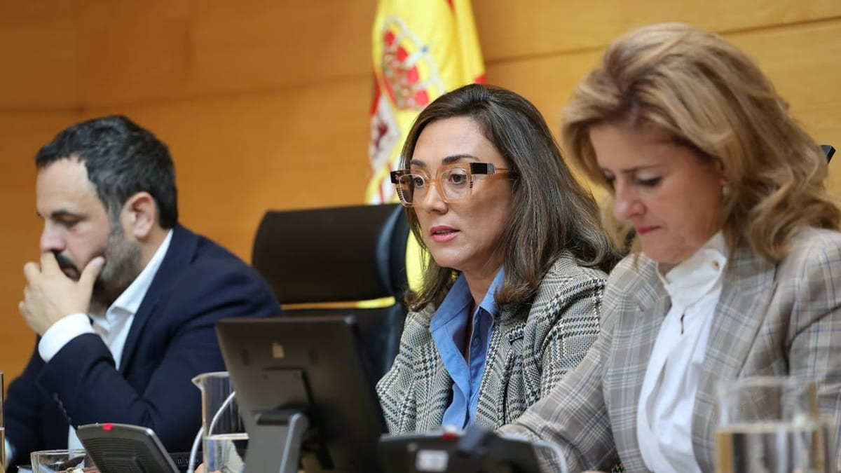 La consejera María González Corral presenta el desglose de presupuestos de Medio Ambiente y Energía 2027