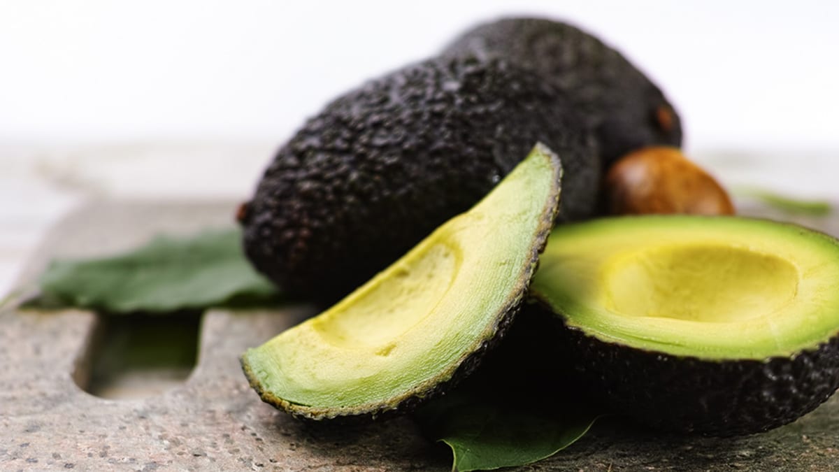 Aguacates cosechados en Andalucía. Campaña 2025-2026