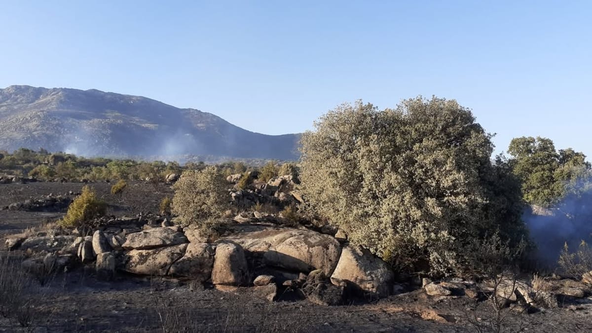 Gráfico informativo de la Junta de Castilla y León sobre la prolongación de la época de peligro medio de incendios forestales